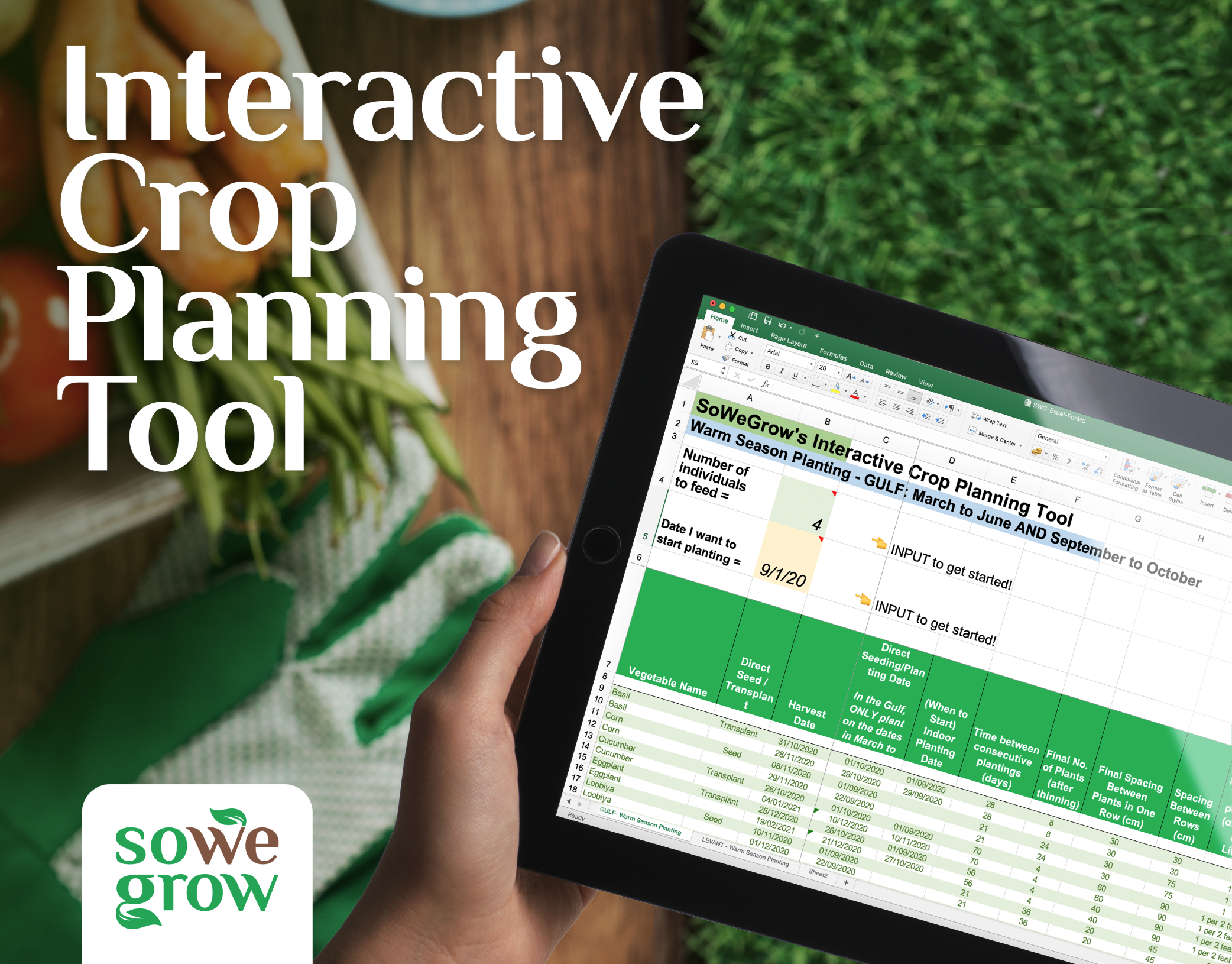Organic Vegetable Gardening Online Consultation - SoWeGrow - Nasser in field of basil